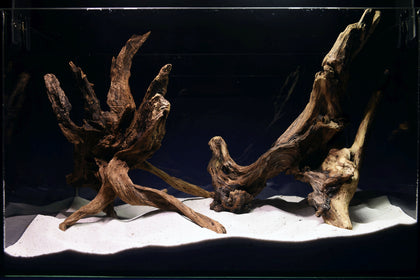 slim-wood-aquarium-wurzel-kaufen-340