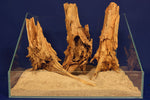 Aquascaping Layout- Aquarium Landschaft, Taigaholz #124
