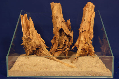 Aquascaping Layout- Aquarium Landschaft, Taigaholz #124
