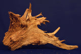 Taigaholz / Scaperwood exquisite / Aquarium Wurzel 127
