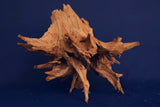Taigaholz / Scaperwood exquisite / Aquarium Wurzel 128