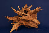 Taigaholz / Scaperwood exquisite / Aquarium Wurzel 128
