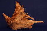 Taigaholz / Scaperwood exquisite / Aquarium Wurzel 129