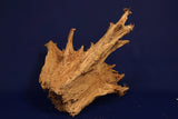 Taigaholz / Scaperwood exquisite / Aquarium Wurzel 131