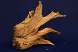 Taigaholz / Scaperwood exquisite / Aquarium Wurzel 132
