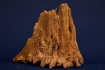Taiga wood / Scaperwood exquisite / Aquarium root 13
