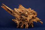 Taiga wood / Scaperwood exquisite / Aquarium root 13
