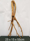 Pioneer wood, aquarium roots, different variants, good and cheap # 3