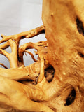 Redwood Hartholz, Aquarium Wurzel, Größe "XL", Exklusiv, RH1904