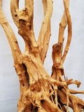 Redwood, aquarium root, size "XL", Exclusive, RH1588