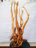 Redwood Hartholz, Aquarium Wurzel, Größe "XL", Exklusiv, RH1903