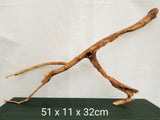 Pioneer wood, aquarium roots, different variants, good and cheap # 3