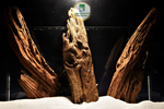 Mangrovenholz, Aquarium Wurzeln, Sets in verschiedenen Größen #01