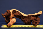 African wood / savanna wood / different variants, nano # 1