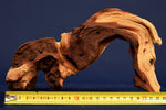 African wood / savanna wood / different variants, nano # 1