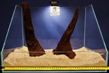 African wood / savanna wood / different variants, nano # 1