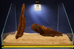African wood / savanna wood / different variants, nano # 1