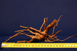 Redwood Hartholz, Aquarium Wurzeln in verschiedenen Varianten, Nano #10
