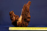 African wood / savanna wood / different variants, nano # 1
