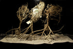 Desert Tree, Aquarium Wurzeln in verschiedenen Varianten, Nano