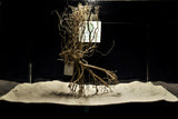 Desert Tree, Aquarium Wurzeln in verschiedenen Varianten, Nano