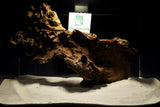 savanne-aquarium-wurzel-deko-aquascaping