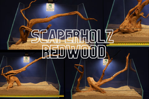 Redwood Hartholz, Aquarium Wurzeln, verschiedene Varianten #15