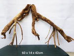 Pioneer wood, aquarium roots, different variants in a set, good and cheap # 2