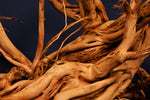 Redwood Hartholz, Aquarium Wurzel, Größe "XL", Exklusiv, RH2355