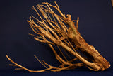 Pioneer Wood, Teewood, Aquarium Root, Size "L", Exclusive - TE527