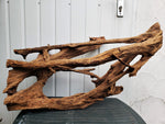 Mangrovenholz, Mangrovenwurzel, Größe "L", Premium, MGL558