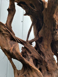 Mangrovenholz, Mangrovenwurzel, Größe "XL", Premium, MGL559
