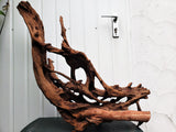 Mangrovenholz, Mangrovenwurzel, Größe "XL", Premium, MGL559