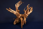 Moorkienwurzel, echtes Moorkienholz, Größe "L", Exklusiv - M417