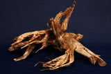 Moorkienwurzel, echtes Moorkienholz, Größe "L", Exklusiv - M417