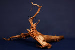 Moorkienwurzel, echtes Moorkienholz, Größe "XL", Klassisch  M467