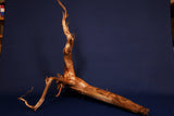 Moorkienwurzel, echtes Moorkienholz, Größe "XL", Klassisch  M467