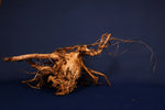 Moor root, real bog wood wood, size "XL", exclusive - M353