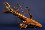 Moorkienwurzel, echtes Moorkienholz, Größe "L", Exklusiv - M473