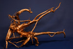 Moorkienwurzel, echtes Moorkienholz, Größe "XL", Exklusiv - M474