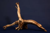 Moorkienwurzel, echtes Moorkienholz, Größe "L", Klassisch  M479