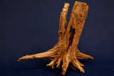 Taiga wood / Scaperwood exquisite / Aquarium root 16